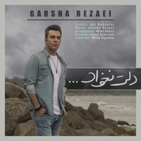 دانلود آهنگ گرشا رضایی دلت نخواد دانلود آهنگ گرشا رضایی دلت نخواد