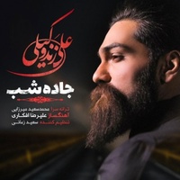 دانلود آهنگ علی زند وکیلی جاده شب دانلود آهنگ علی زند وکیلی جاده شب