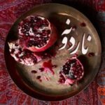 دانلود آهنگ علی زند وکیلی ناردونه دانلود آهنگ علی زند وکیلی ناردونه