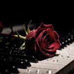 دانلود آهنگ باران میبارد امشب دانلود آهنگ باران میبارد امشب